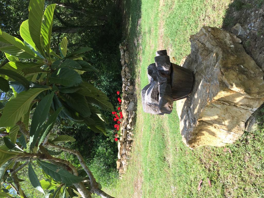 Campo Di Carlo Guest House Sassetta Luaran gambar