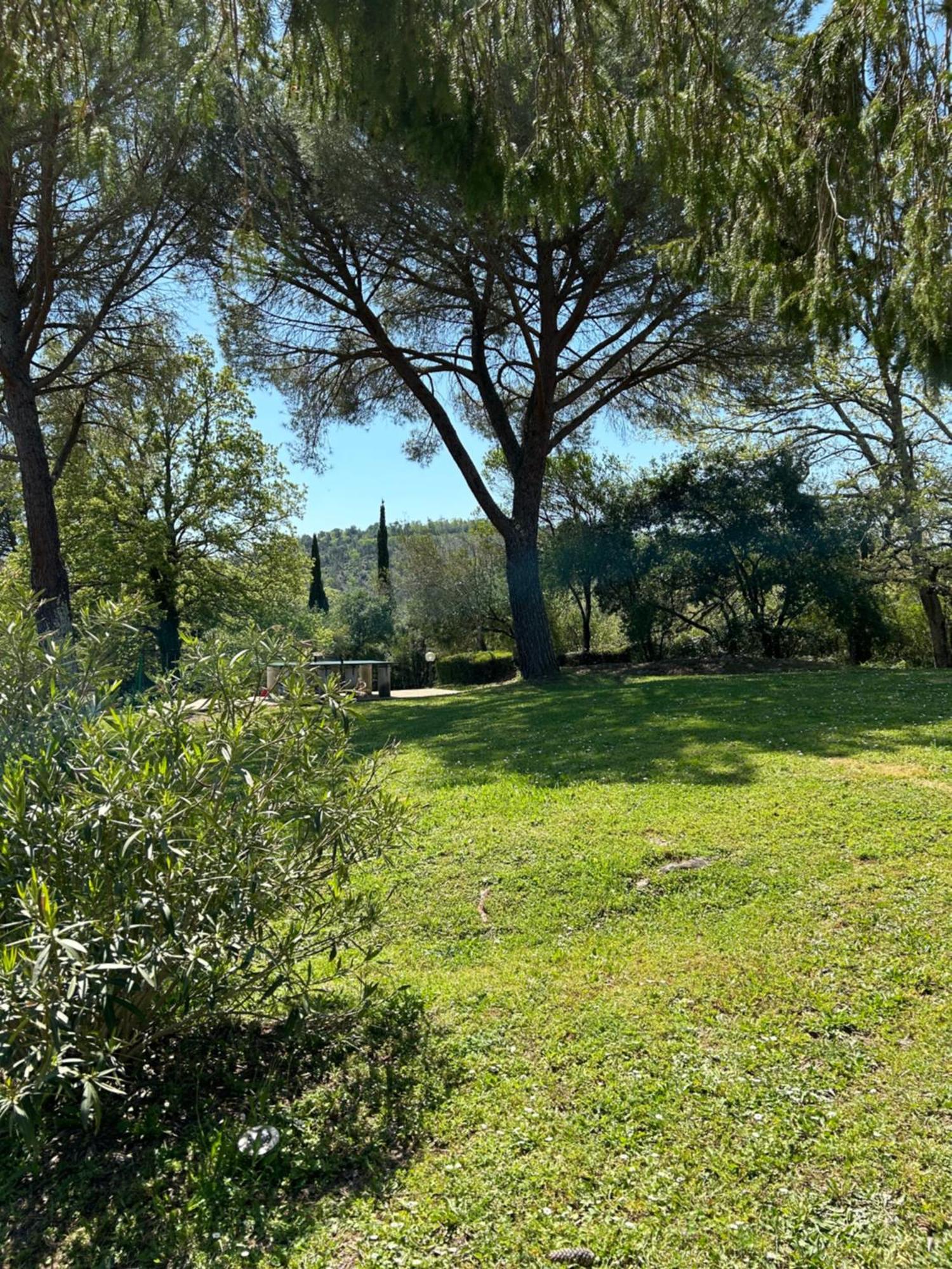 Campo Di Carlo Guest House Sassetta Luaran gambar