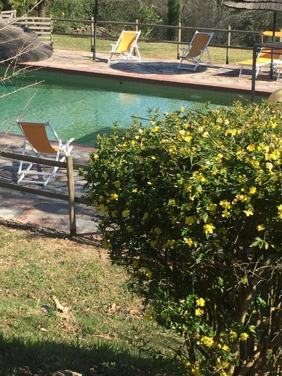 Campo Di Carlo Guest House Sassetta Luaran gambar